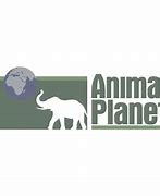 Image result for Animal Planet Old Logo