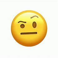 Image result for Raised Eyebrow Emoji with Camera Meme