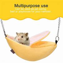 Image result for Hamster Bed