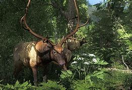 Image result for Most Realistic Hunting Game