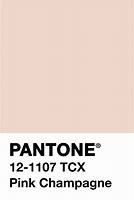Image result for Pantone Champagne Blush