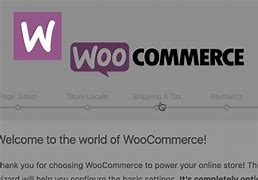 Image result for WooCommerce Setup Wizard