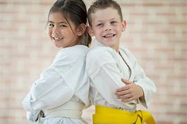 Image result for Martial Arts Kids Belt