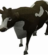 Image result for RuneScape Cow Meme