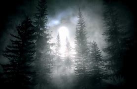 Image result for Dark Forest with Moon