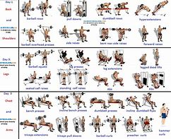 Image result for Muscle Gain Workout Routine