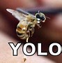 Image result for Excess Bee Meme