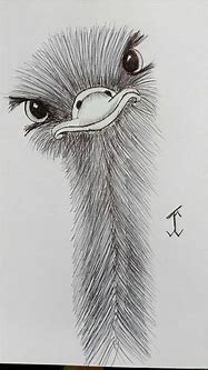 Image result for Free Pencil Sketches