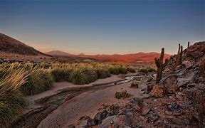 Image result for Sonoran Desert Wallpaper