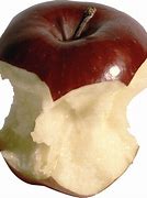 Image result for Apple Bite