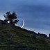 Image result for Different Moon Phases
