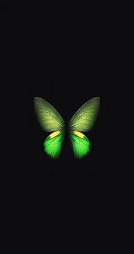 Image result for Samsung Butterfly Wallpaper