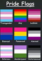 Image result for 13 LGBTQ Flags