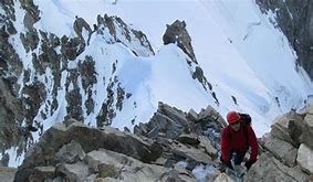 Image result for alpinisga
