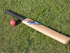 Image result for Most Expensive Cricket Bat