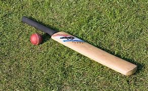 Image result for Bat for Cricket