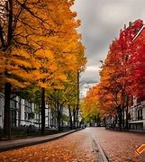 Image result for Tokyo University Exit Autumn