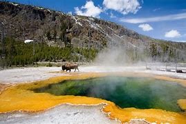 Image result for Visiting Yellowstone Caldera