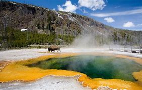 Image result for Yellowstone Vulcano