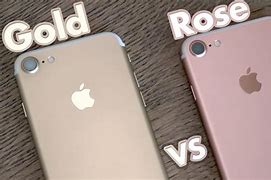 Image result for Rose Gold vs Gold iPhone