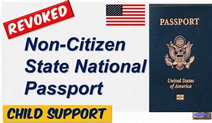 Image result for Non-Citizen Government ID