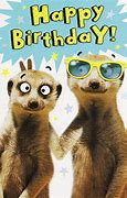 Image result for Funny Animal Birthday Cards
