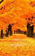 Image result for Fall Screensavers Free Windows 10