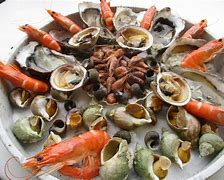 Image result for Fruits De Mer Coquillages