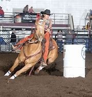 Image result for Blaisdell Rodeo Wild Horse Race