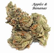 Image result for Apples and Bananas Weed Strain