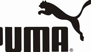 Image result for Puma Tsungi