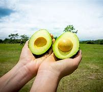 Image result for aguacste