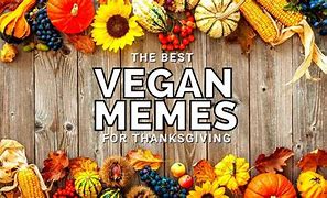Image result for Vegan Turkey Meme