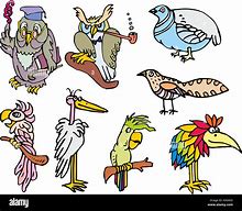 Image result for Funny Birds to Draw