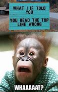 Image result for Shocked Monkey Meme
