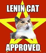 Image result for Cat Approved Meme