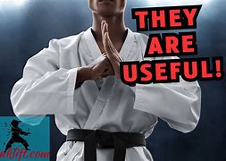 Image result for Useful Martial Arts
