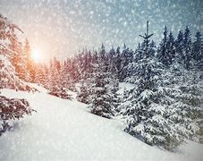 Image result for Free Winter Backgrounds
