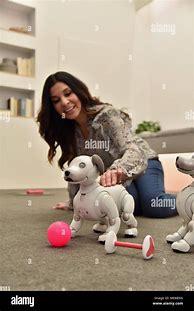 Image result for Aibo Cute