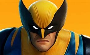 Image result for Wolverine Game