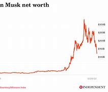 Image result for Elon Musk's Brother