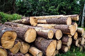 Image result for A Stack of Wood