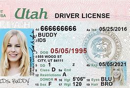 Image result for Utah Temporary Driver's License