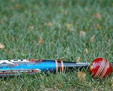 Image result for Backyard Cricket