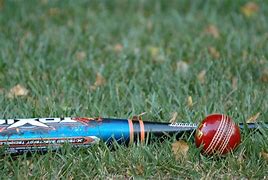 Image result for Cricket Bag On Turf