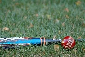 Image result for Cricket Yard Game