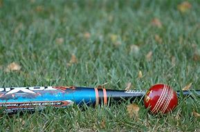 Image result for Giant African Cricket