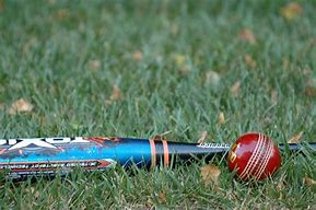Image result for Cricket Wicket Pendant