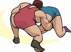 Image result for Wrestling Throws