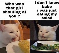 Image result for Great Cat Memes